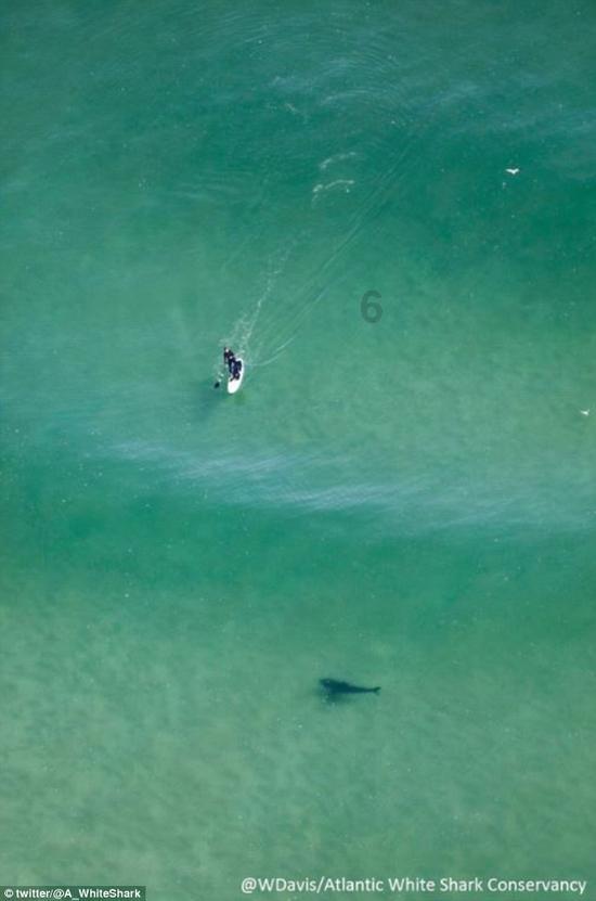 浙江去年绿电交易突破80亿千瓦时